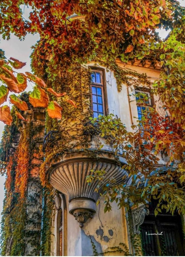 Charming Place Cotroceni Букурещ Екстериор снимка